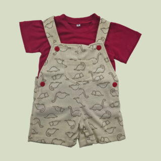 Braga dinosaurio bebé talla 6